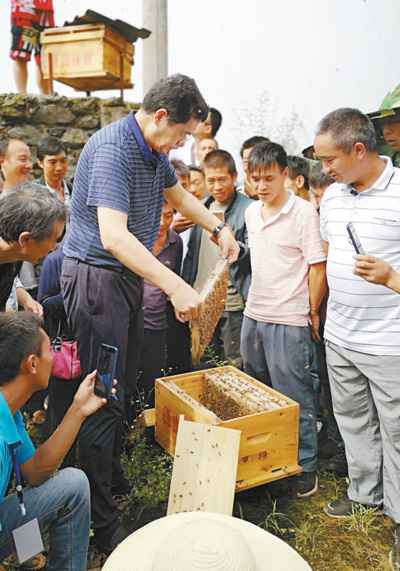 帮助农民更好发展“甜蜜”事业（科技视点·科技扶贫我们在行动②）