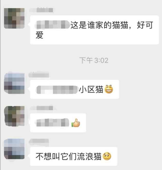 业主群聊天截图