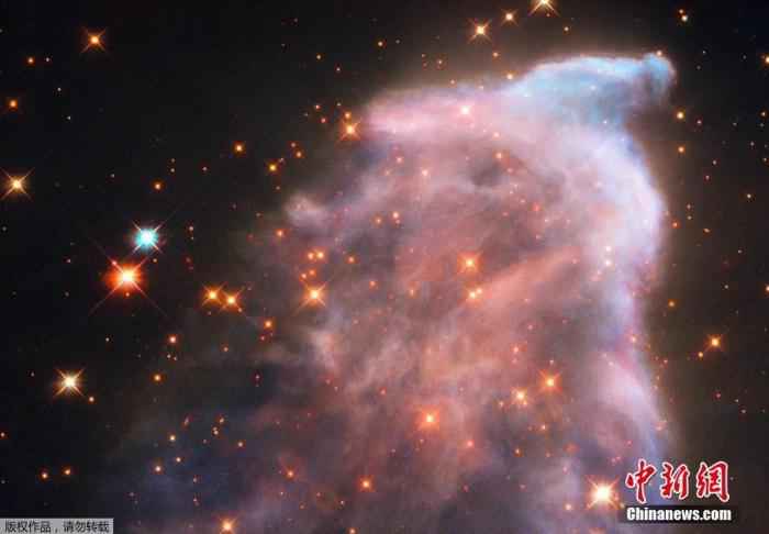 资料图：此前，欧洲航天局公布一张距离地球约550光年的IC 63“幽灵星云”的照片。该星云既被分类为反射星云——因为它反射附近恒星的光——又被分类为发射星云——因为它释放氢辐射。这两种效应都是由巨大的仙后座星造成的。这颗恒星的辐射也在慢慢地使星云消散。