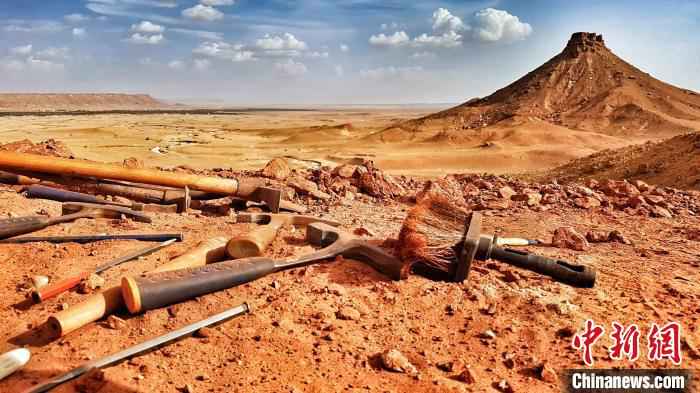 棘龙化石挖掘的卡玛卡玛区域(摩洛哥东南部撒哈拉沙漠)一览。(自然科研/供图) Diego Mattarelli　摄