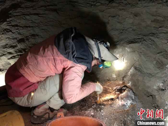 图为2019年，西藏考古人员在阿里札达县进行考古。　西藏文研所供图 摄
