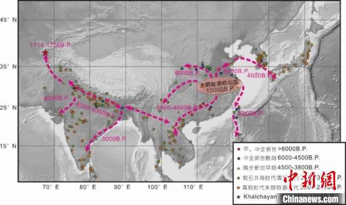 水稻在亚洲范围内扩散的时间与路径。(研究团队供图) 供图 摄