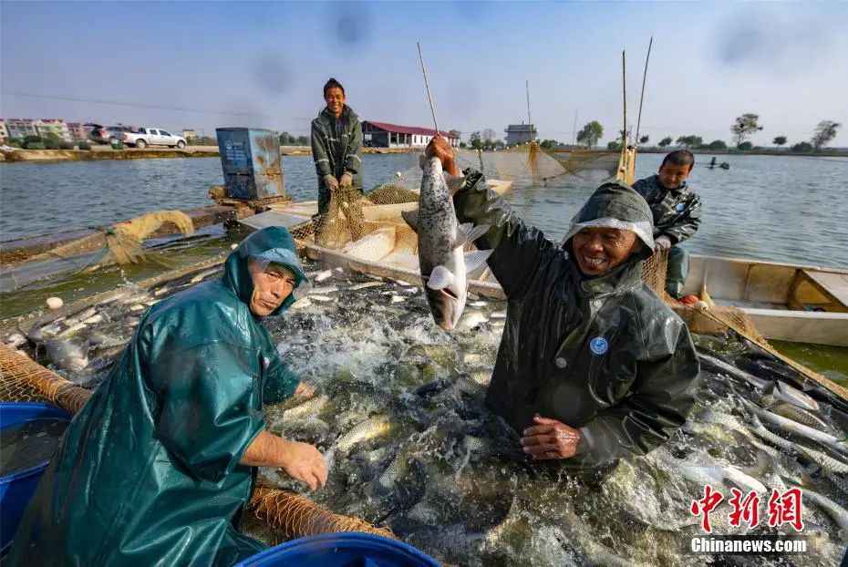  江西无美食？老表们不服气：赣菜历史悠久 兼顾东南西北