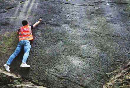  重庆发现正在小跑的恐龙足迹 “造迹者”或为中国龙