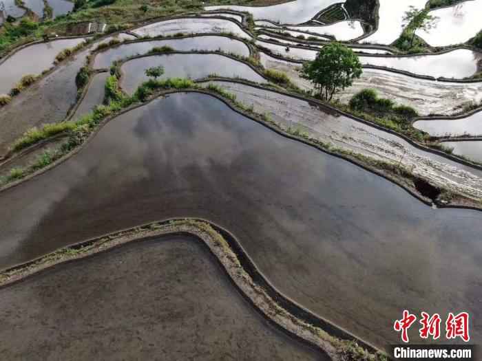 东澄村梯田美景。　余斌 摄