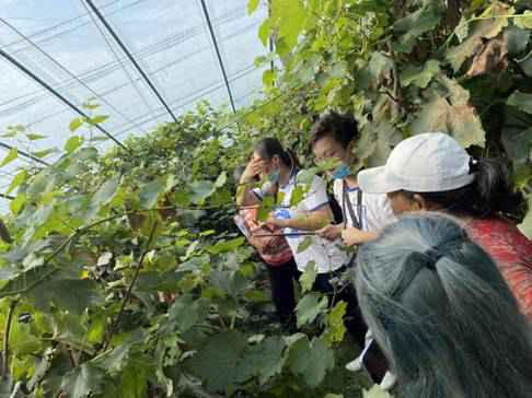 天津城建大学经济与管理学院顺利开展电商助农暑期社会实践活动