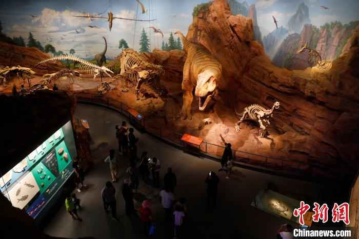 图为民众参观澄江化石地自然博物馆。　李嘉娴 摄