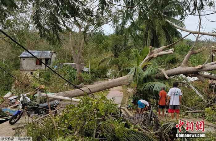 飓风“艾奥塔”袭击中美洲多地，图为飓风横扫哥伦比亚后，大量房屋和树木倒塌损毁。