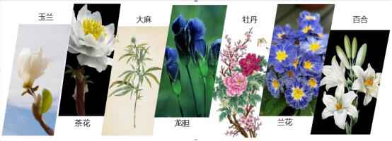 “国货之光”甄美颜创造历史：产品畅销全球30国，在国外遭疯抢！