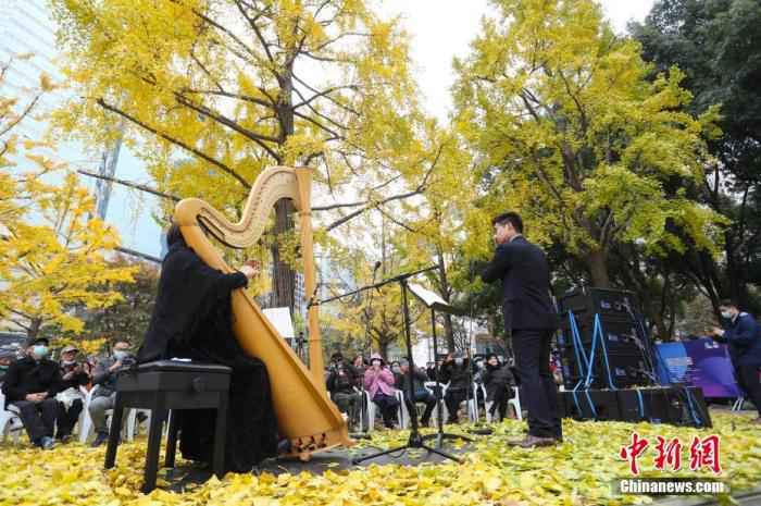 资料图：2020年12月5日，上海音乐厅“银杏音乐会”举行，为冬季的上海增添文艺气息。
/p中新社记者 张亨伟 摄