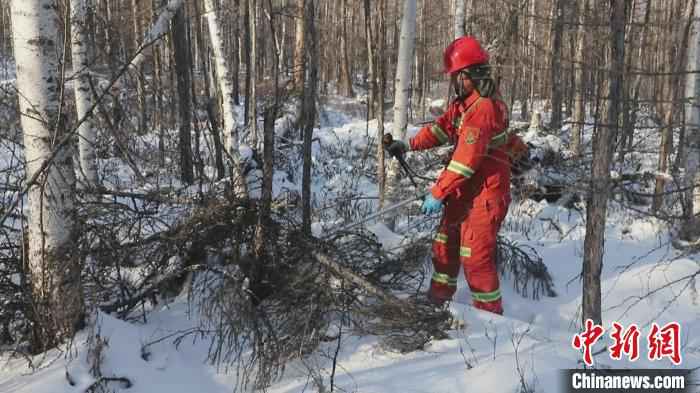 图为护林人在-40℃的气温下开展森林抚育工作。　田晓东 摄