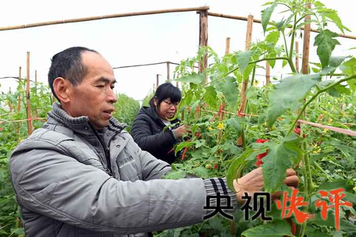 【央视快评】满怀热情为困难群众办事