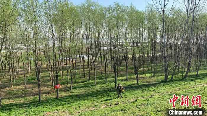 图为府河湿地挂有警示牌 武一力 摄