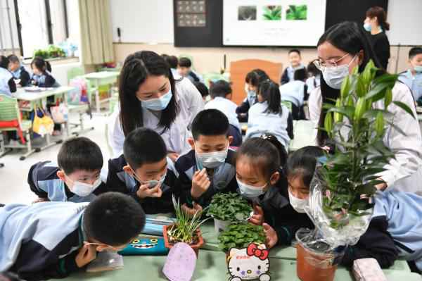 中医药文化走进鞍小 师生一同拥抱春天放飞梦想