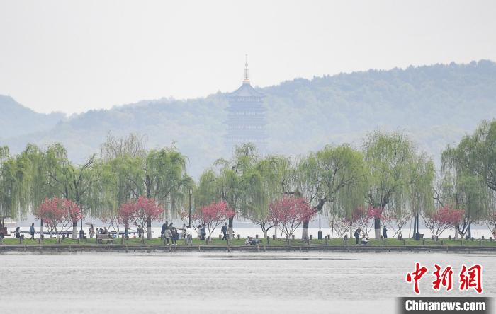 图为杭州西湖。　王刚 摄