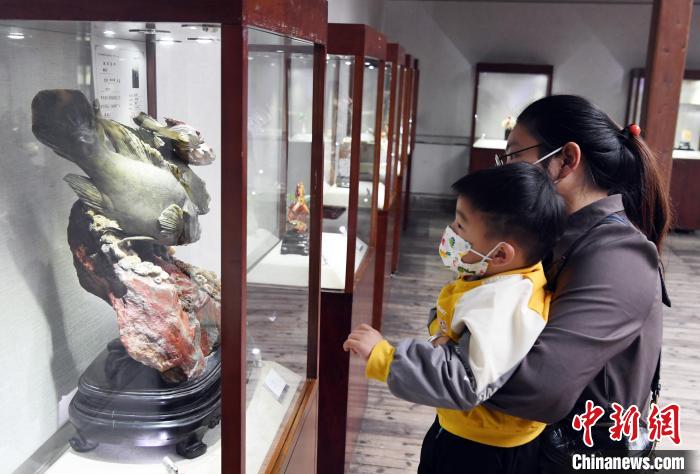 参展的寿山石雕作品吸引一对母子俩观众观看。　记者刘可耕 摄