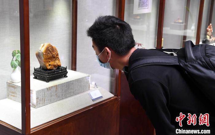 展出的寿山石雕作品吸引观众的眼球。　记者刘可耕 摄
