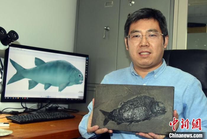 徐光辉研究员向记者展示介绍“盘州暴鱼”化石。　孙自法 摄