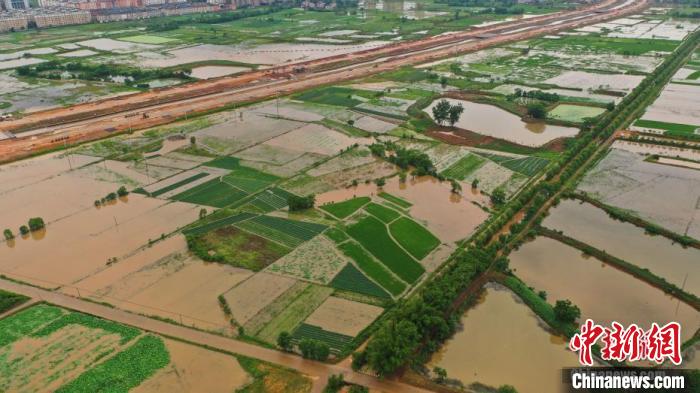 5月20日，在江西省吉安市泰和县澄江镇，暴雨导致大片农田被淹。　邓和平 摄