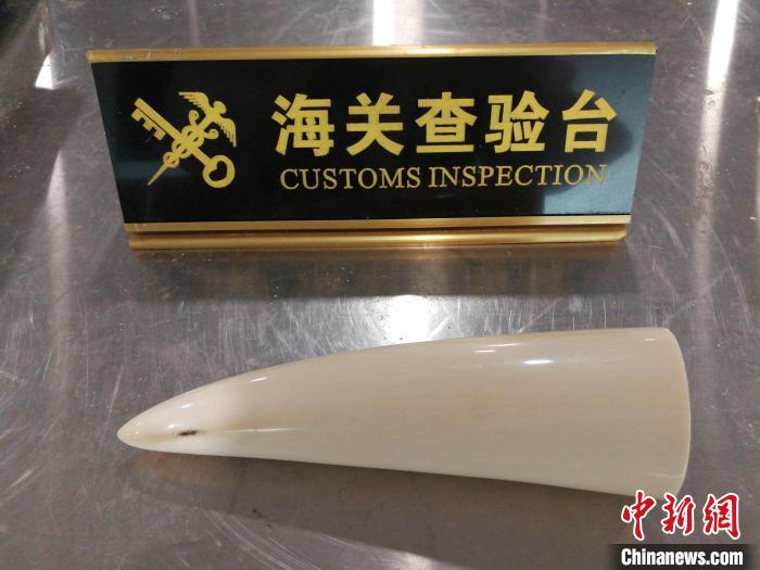 西安咸阳机场海关查获的象牙制品。　西安咸阳机场海关供图