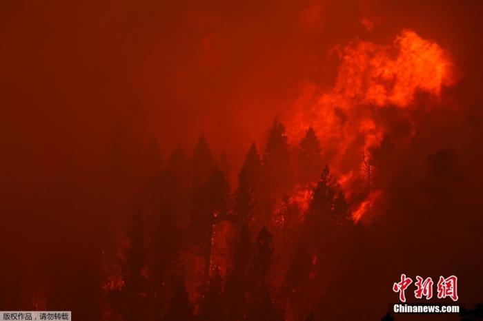 当地时间8月28日，美国加利福尼亚州草莓镇附近山丘上，Caldor大火熊熊燃烧，烟雾弥漫。