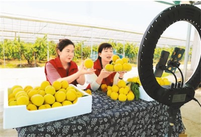 农村物流越来越高效通畅了（网上中国）