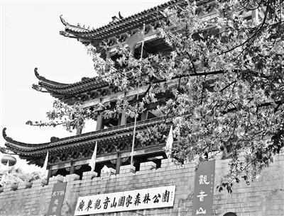  东莞观音山“7字70万”悬赏“征联” 最终未选出“最佳”