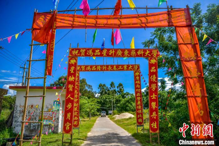 升学彩门是海南儋州特有的文化习俗，表达对知识的崇敬。　骆云飞 摄