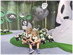 迪拜世博会迎来大熊猫保
