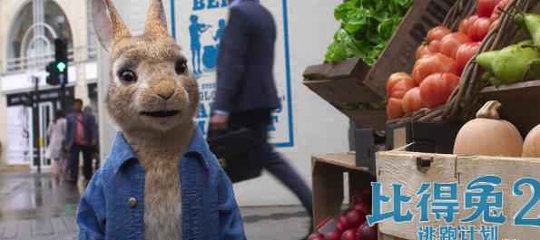 好莱坞多部大制作电影推迟上映 《比得兔2》全球改档至8月7日