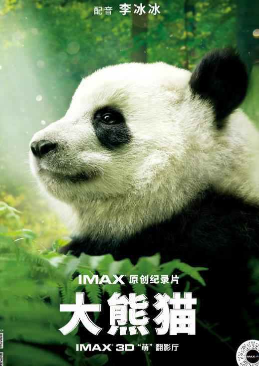 纪录片《大熊猫》发布特辑 李冰冰献声讲述爱与成长的故事