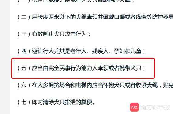 未成年人不得独自遛狗！佛山一老人被狗绳拽倒重摔后身亡