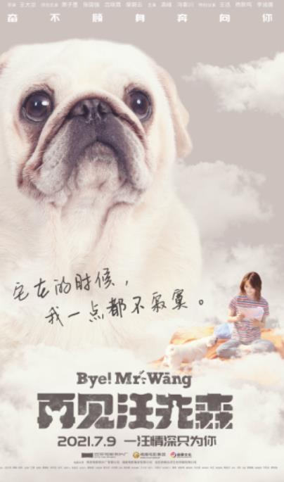 电影《再见汪先森》发布角色海报 萧子墨张国强上演宠物奇缘