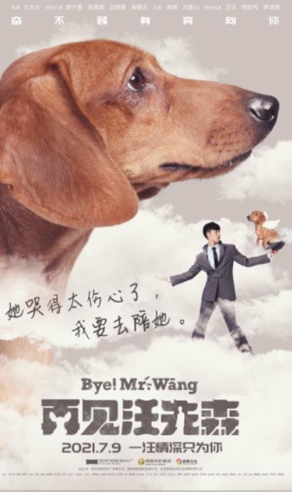 电影《再见汪先森》发布角色海报 萧子墨张国强上演宠物奇缘